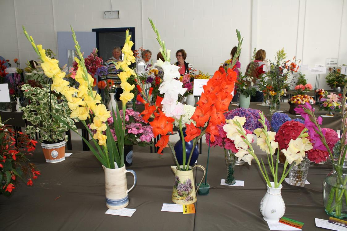 ../Images/64th Bunclody Horticultural Show 2015 - 46.jpg
